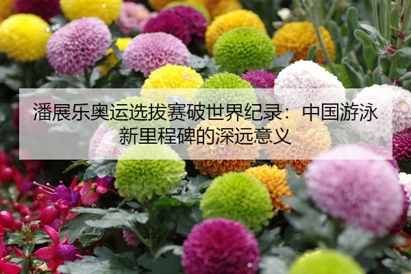 潘展乐奥运选拔赛破世界纪录：中国游泳新里程碑的深远意义